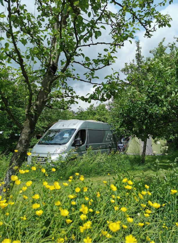 Andrea Hulstein coaching bus Andrea Hulstein coaching