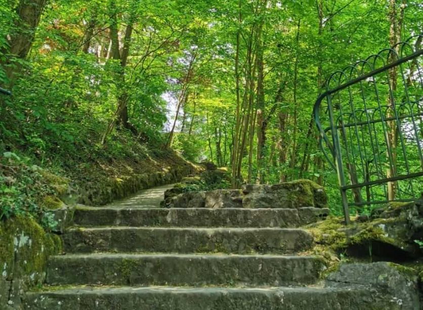 Andrea Hulstein coaching trap in park Andrea Hulstein Coaching van uitstel naar actie