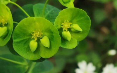 7 year bliss | Relatietips na 7 jaar samen